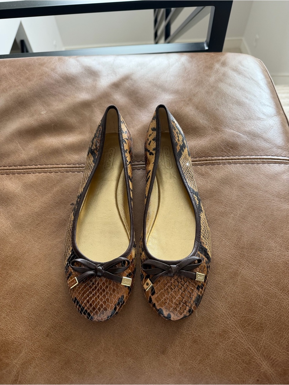 coach snakeskin ballet flats with brown leather bow
